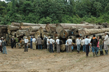 Toistaiseksi kansainvälinen, laillinen puukauppa on perustunut vapaaehtoisiin kumppanuussopimuksiin. Muun muassa Indonesialla ja EU:lla on ollut sopimus vuodesta 2011. Kuva: Europeaid