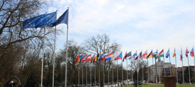 Euroopan neuvoston lipput. Kuva: Eurooppatiedotus