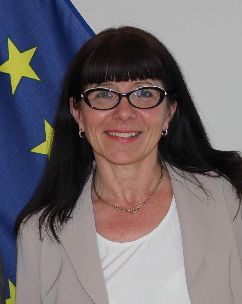 Leena Brandt är pressråd vid EU-representationen