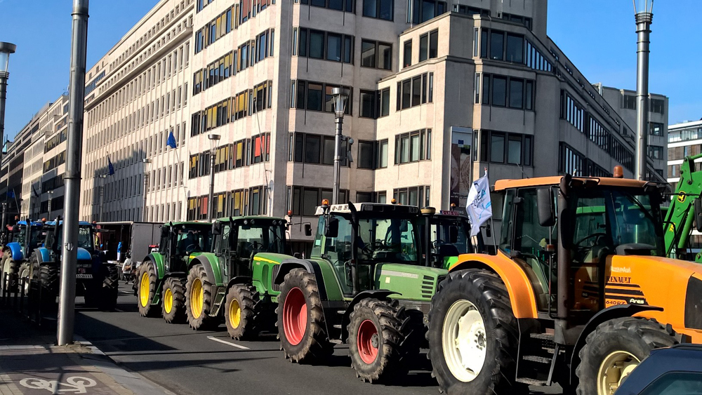 Brysseliin saapuneet maanviljelijät osoittivat mieltään maatalouden heikon markkinatilanteen vuoksi maatalousministereiden kokouksen aikana