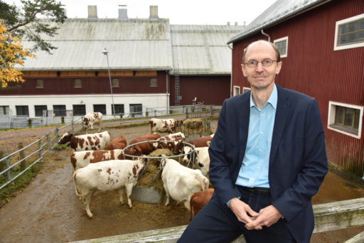 Kirjoittaja Jyrki Nurmi istuu aidalla, jonka takana on lehmiä pihatossa.