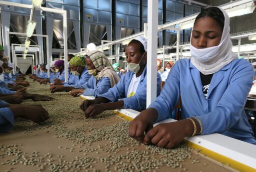 Kuvassa työntekijät käsittelevät kahvipapuja Addis Abeban tuntumassa sijaitsevassa tehtaassa.